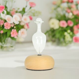 Diffuseur par Nébulisation Bao – Image 9