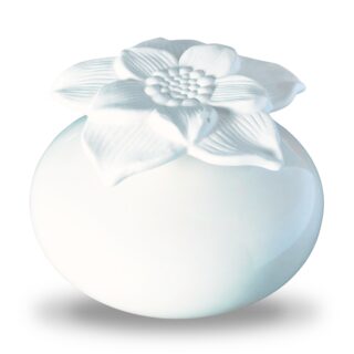 Diffuseur par Capillarité – Narcisse Blanc