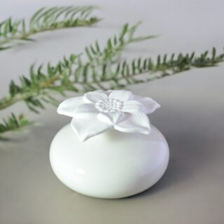 Diffuseur par Capillarité – Narcisse Blanc