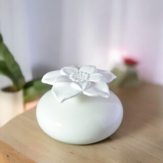Diffuseur par Capillarité – Narcisse Blanc