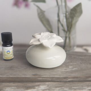Diffuseur par Capillarité – Narcisse Blanc
