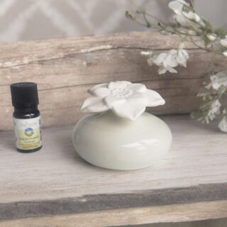 Diffuseur par Capillarité - Narcisse Blanc – Image 6