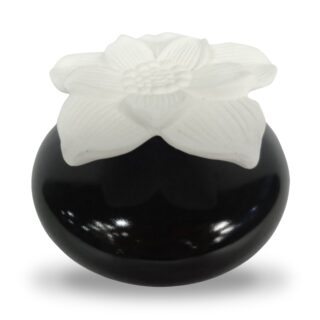 Diffuseur par Capillarité – Narcisse Noir
