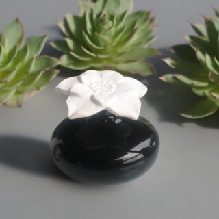 Diffuseur par Capillarité – Narcisse Noir