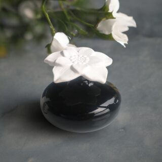 Diffuseur par Capillarité – Narcisse Noir