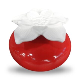 Diffuseur par Capillarité – Narcisse Rouge