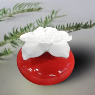 Diffuseur par Capillarité – Narcisse Rouge