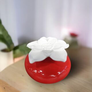 Diffuseur par Capillarité – Narcisse Rouge