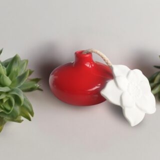 Diffuseur par Capillarité – Narcisse Rouge