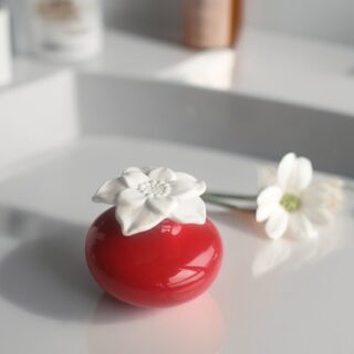 Diffuseur par Capillarité – Narcisse Rouge