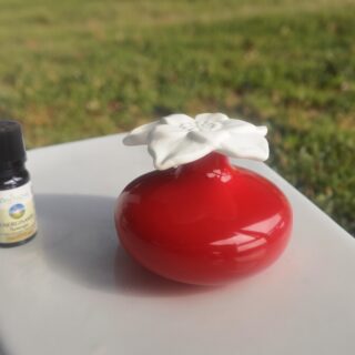 Diffuseur par Capillarité - Narcisse Rouge – Image 6