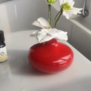 Diffuseur par Capillarité - Narcisse Rouge – Image 8