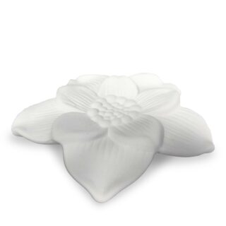Fleur pour diffuseur par capillarité Narcisse