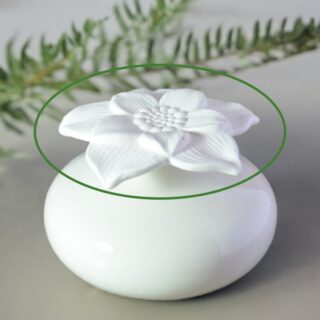 Fleur pour diffuseur par capillarité Narcisse