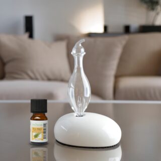 Diffuseur par Nébulisation Dan – Image 9