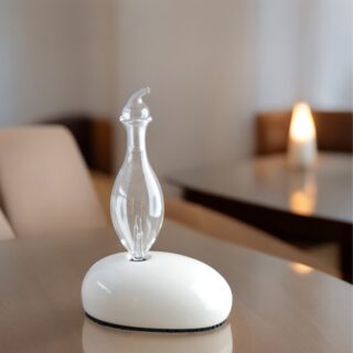 Diffuseur par Nébulisation Dan – Image 10