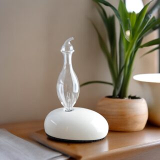 Diffuseur par Nébulisation Dan – Image 11