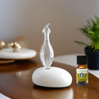 Diffuseur par Nébulisation Dan – Image 13