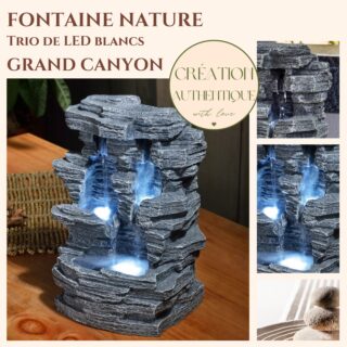 Fontaine Nature Grand Canyon