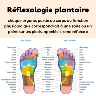 Chaussettes Réflexologie SPA Adoucissantes