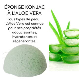 Éponge Konjac Pour Visage à l’Aloe Vera