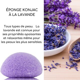 Éponge Konjac Pour Visage à la lavande