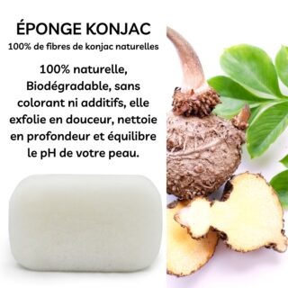 Éponge Konjac Corps Classique