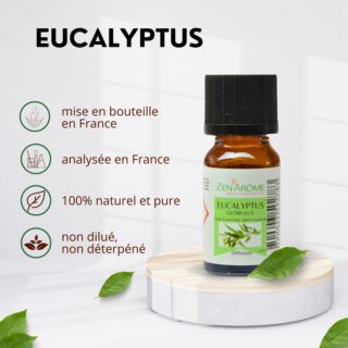 Huiles Essentielles Eucalyptus – 10 ml