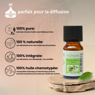 Huiles Essentielles Eucalyptus – 10 ml