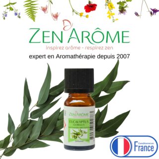 Huiles Essentielles Eucalyptus – 10 ml