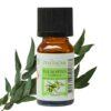 Huiles Essentielles Eucalyptus - 10 ml – Image 6