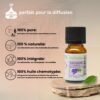 Huiles Essentielles Lavandin Grosso - 10 ml – Image 4