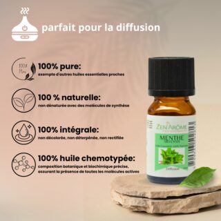 Huiles Essentielles Menthe Arvensis – 10ml