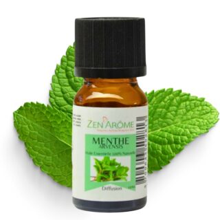 Huiles Essentielles Menthe Arvensis - 10ml – Image 6