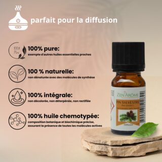 Huiles Essentielles Pin Sylvestre – 10 ml