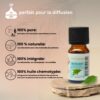 Huiles Essentielles Romarin - 10 ml – Image 4