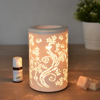 Diffuseur par Chaleur Douce Calorya N° 1