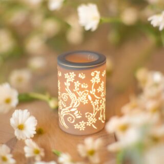 Diffuseur par Chaleur Douce Calorya N° 1