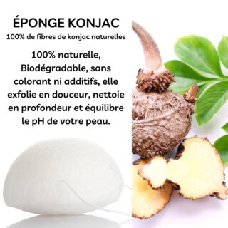 Éponge Konjac spéciale Yeux Nature