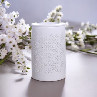 Diffuseur par Chaleur Douce Calorya N° 4