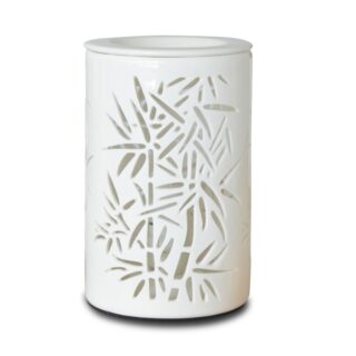 Diffuseur par Chaleur Douce Calorya N° 5