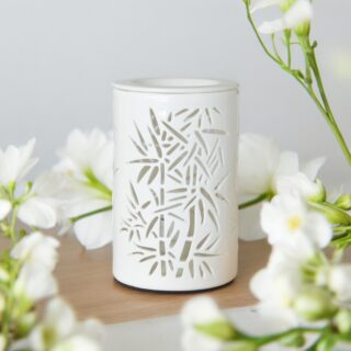 Diffuseur par Chaleur Douce Calorya N° 5
