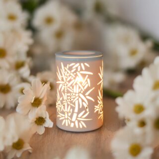 Diffuseur par Chaleur Douce Calorya N° 5