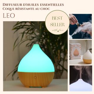 Diffuseur Ultrasonique Leo
