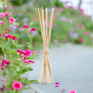 Lot de 10 tiges en Rotin Naturel