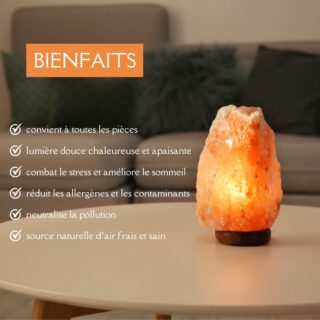Lampe en sel d’Himalaya de 2 à 3 kg