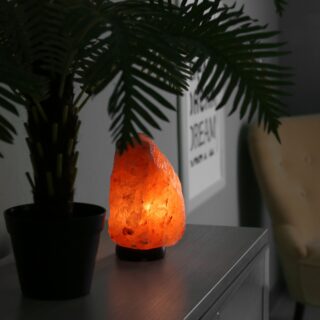 Lampe en sel d'Himalaya de 2 à 3 kg – Image 9