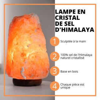 Lampe en sel d’Himalaya de 4 à 6 kg