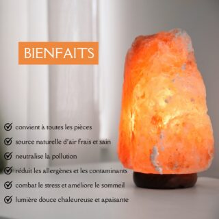 Lampe en sel d’Himalaya de 4 à 6 kg