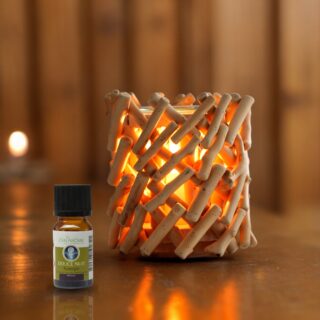 Diffuseur par Chaleur Douce Calorya N° 7